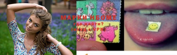 индика Алексеевка