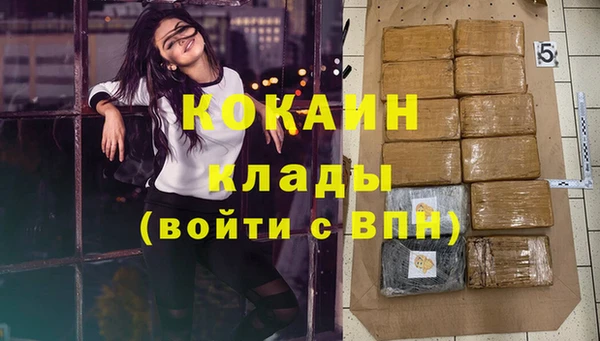 индика Алексеевка