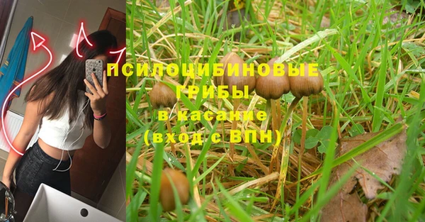 индика Алексеевка