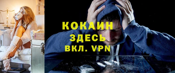 индика Алексеевка