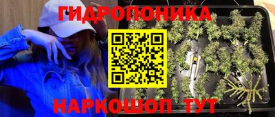 крисы Заволжье