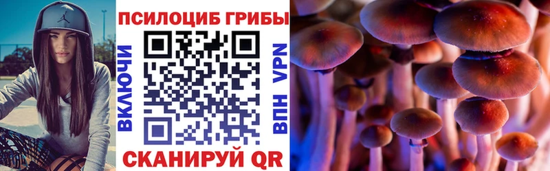 продажа наркотиков  Учалы  Галлюциногенные грибы Psilocybe 